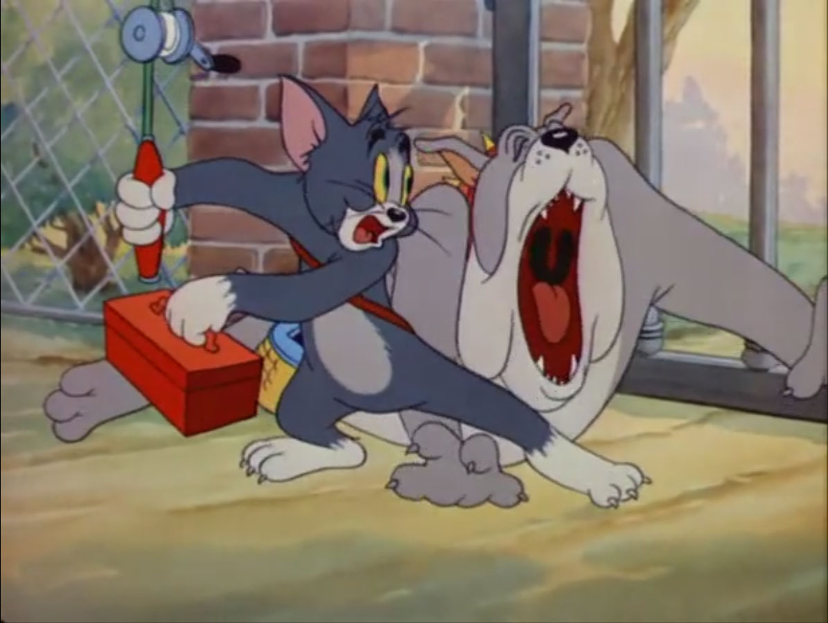 Chasing Tom Reactions Dog Jerry.
