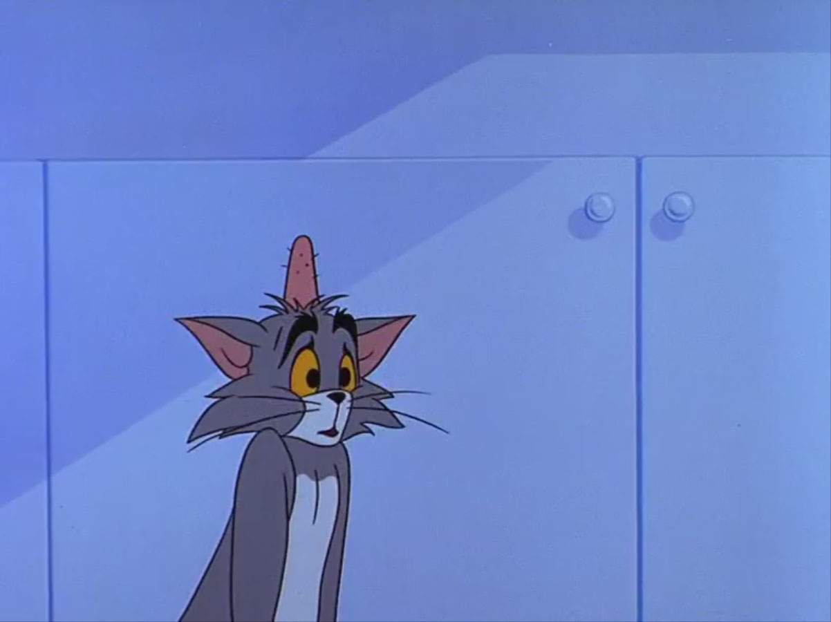 Tom and Jerry 113. Shocked Jerry cartoon characters. Shocked Tom meme.
