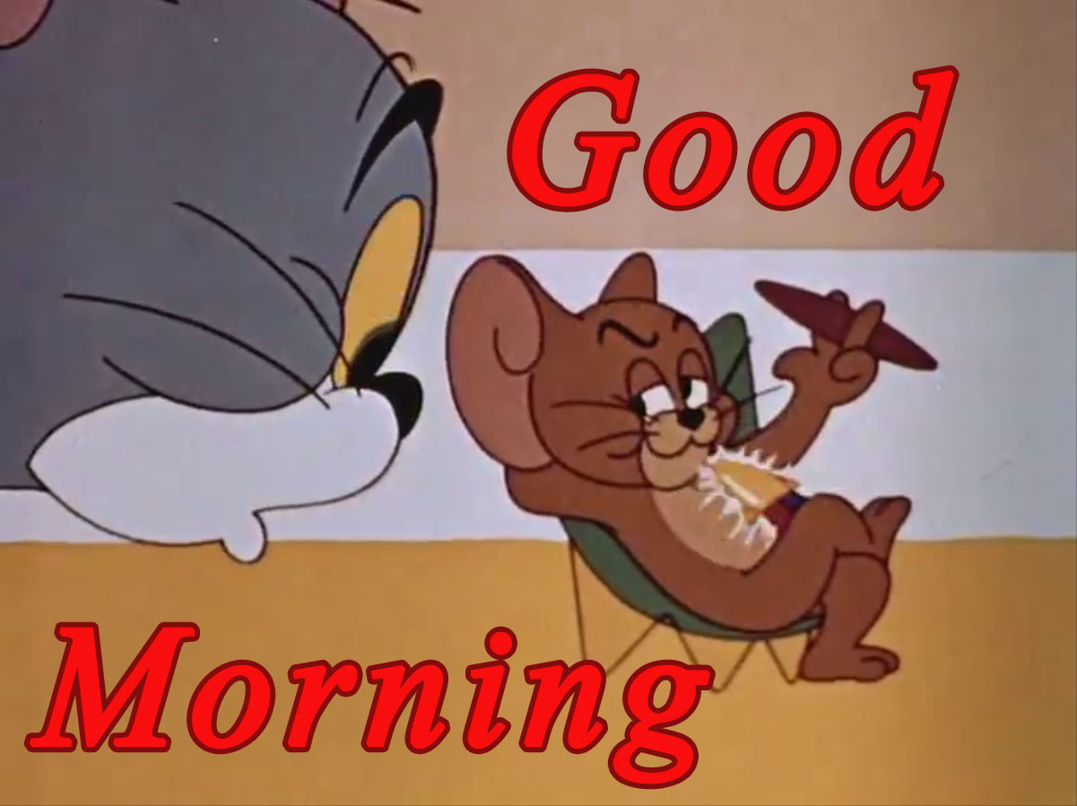 Tom And Jerry Memes Images - Tom Jerry Memes To Celebrate 80 Years Of ...