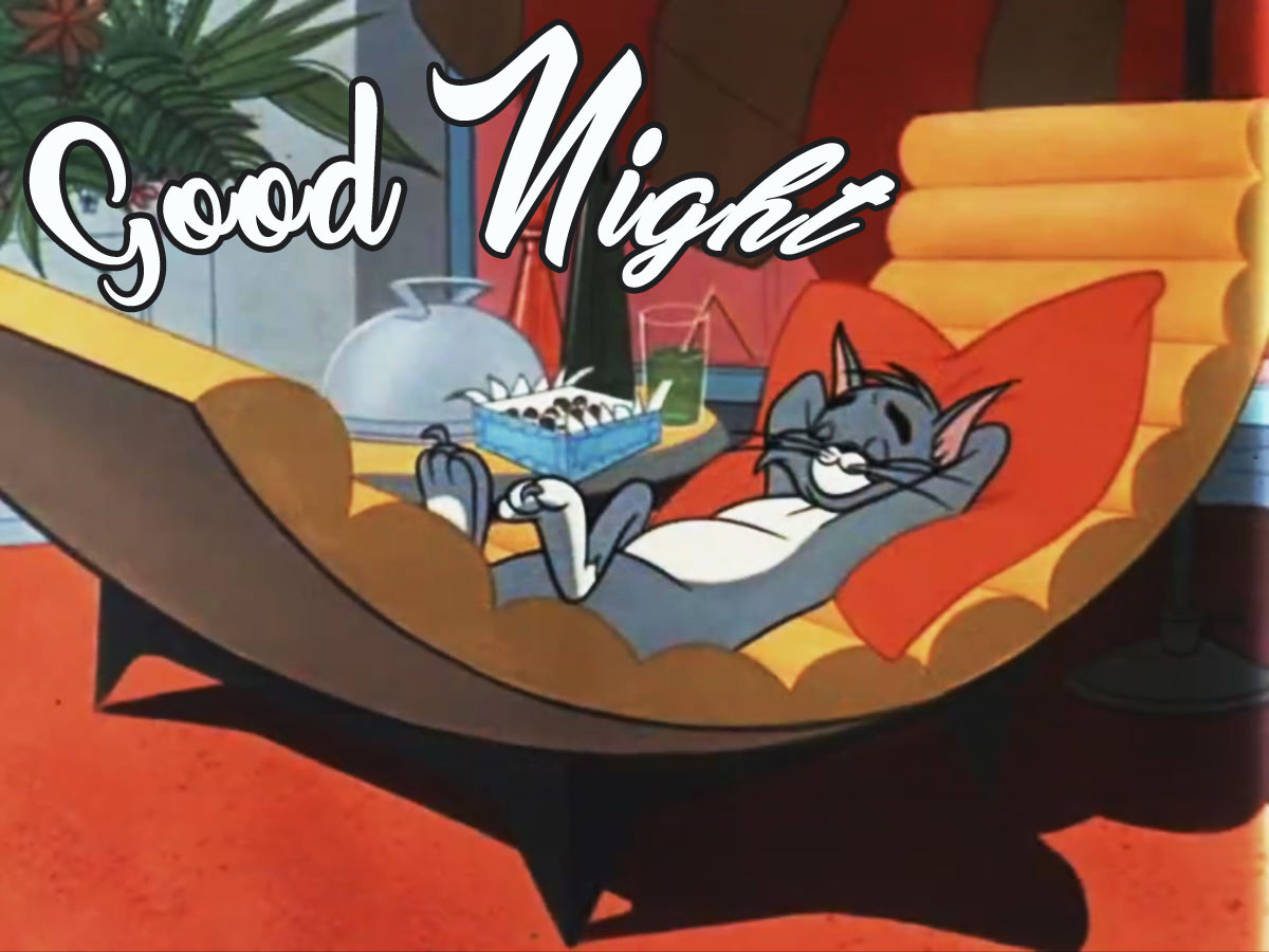 Goodnight: Good Wishes Images | Wishes Goodnight Scene Images - Cartoon